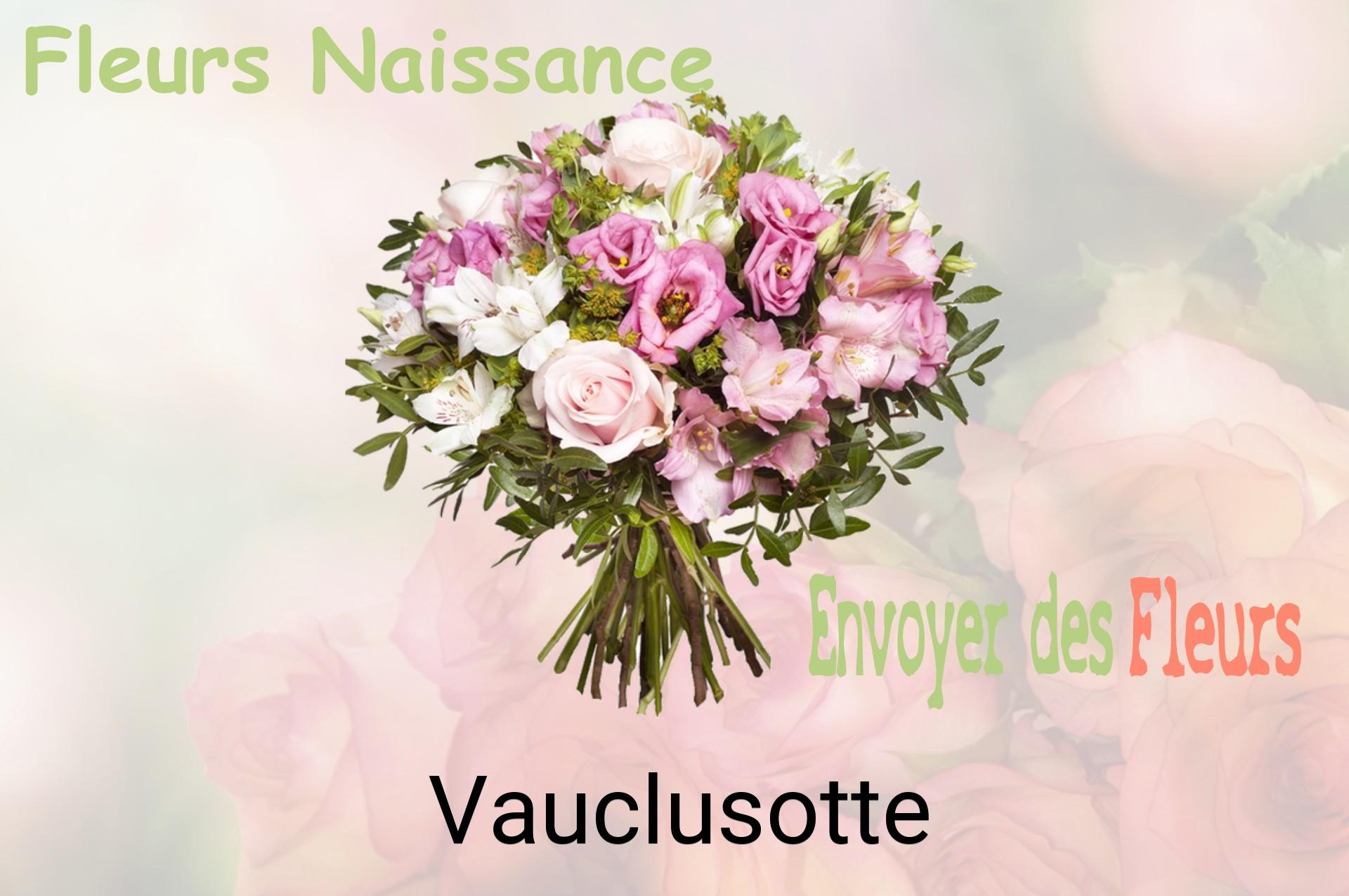 Bouquet de fleurs de naissance livré à Vauclusotte